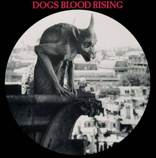 Current 93 - Dogs Blood Rising (Picture Disc Vinyl) - uusi LP