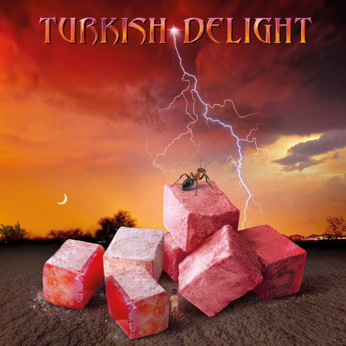 Various Artists - Turkish Delight Volume One - uusi CD