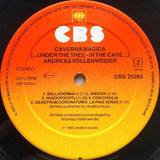 Andreas Vollenweider - Caverna Magica (...Under The Tree - In The Cave...) LP levy