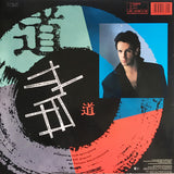 Rick Springfield - Tao LP levy (käytetty)