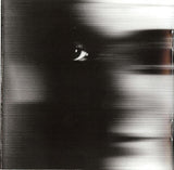 Peter Gabriel - Up CD levy