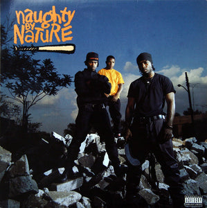 Naughty By Nature - Naughty By Nature LP levy