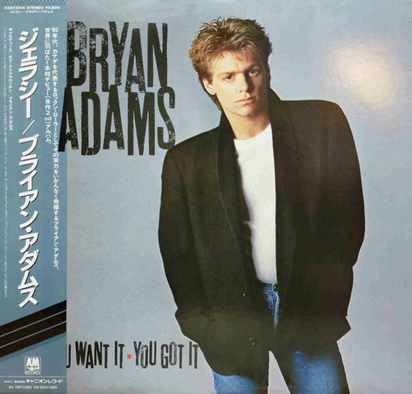 Bryan Adams - You Want It, You Got It LP levy (käytetty)