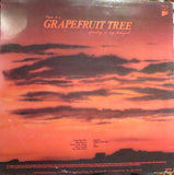 The Nights Of Iguana - Grapefruit Tree LP levy