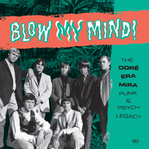 Various Artists - Blow My Mind! (2 LP Vinyl) - uusi LP