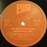 The Nights Of Iguana - Grapefruit Tree LP levy