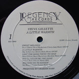 Steve Gillette - A Little Warmth LP levy (käytetty)