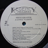 Steve Gillette - A Little Warmth LP levy (käytetty)