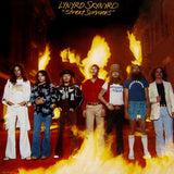 Lynyrd Skynyrd - Street Survivors CD levy