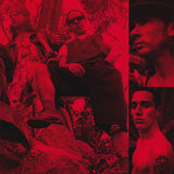 Red Hot Chili Peppers - Blood Sugar Sex Magik LP levy (uusi)