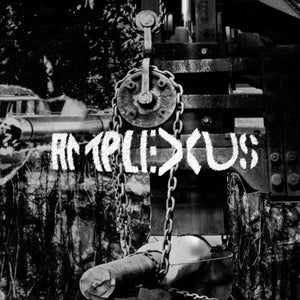 Amplexus - Melting Away - Fierce Detrunctation - uusi CD