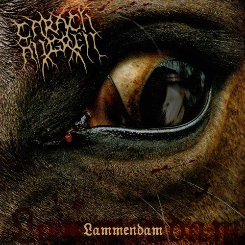 Carach Angren - Lammendam (2 Vinyl LP) - uusi LP