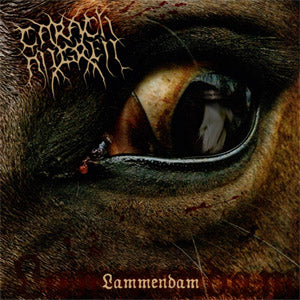 Carach Angren - Lammendam (Reissue) - uusi CD