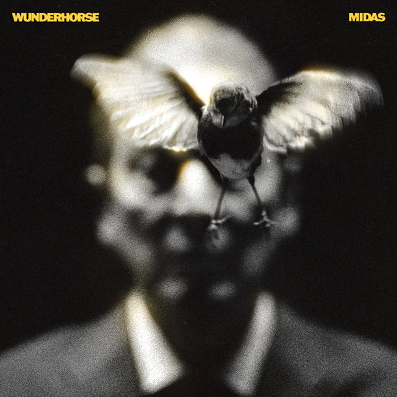 Wunderhorse - Midas - LP uusi